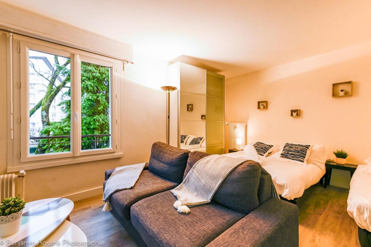 Les Mouettes Du Lac N2 - Grand Studio 500 M From Lake Annecy Exterior foto