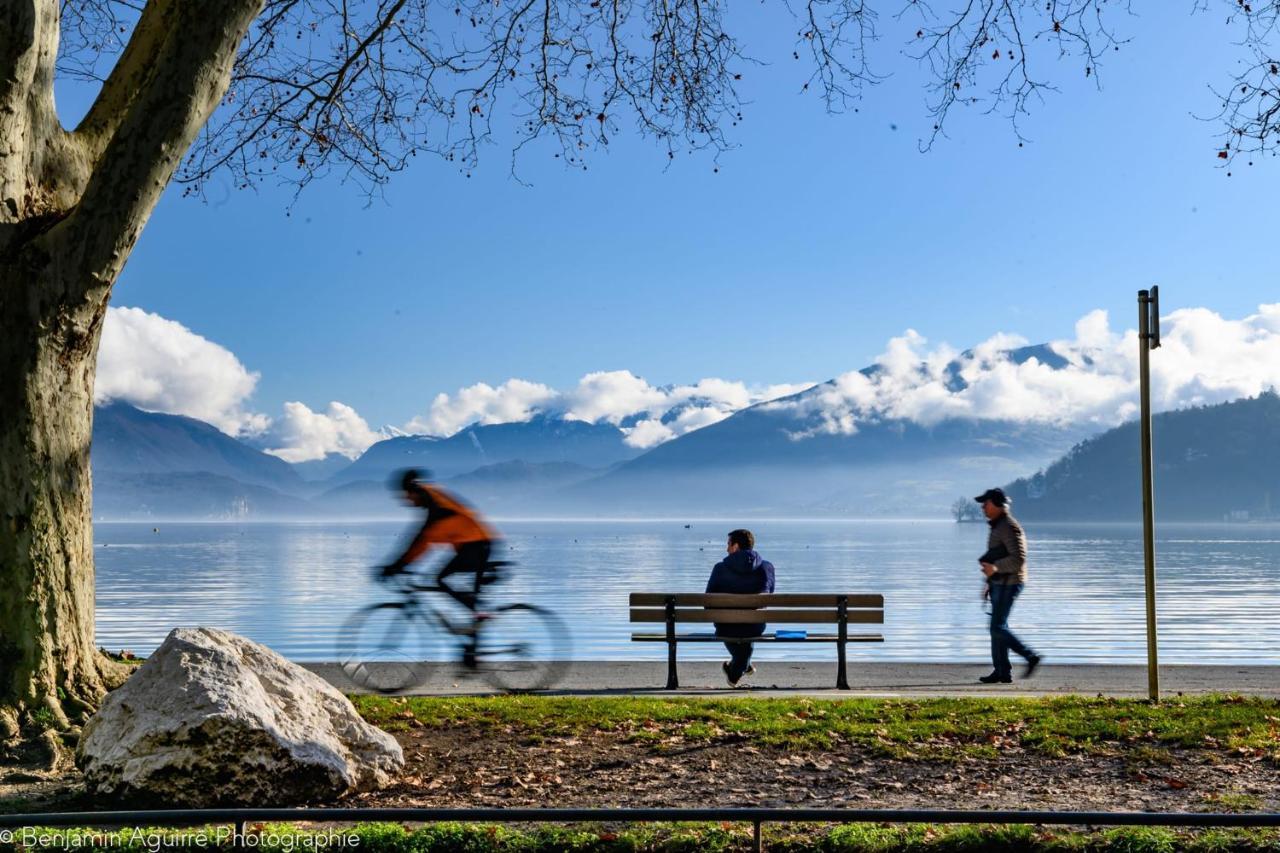 Les Mouettes Du Lac N2 - Grand Studio 500 M From Lake Annecy Exterior foto